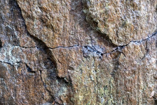 detail of rock in the forest, in different colors and cracked