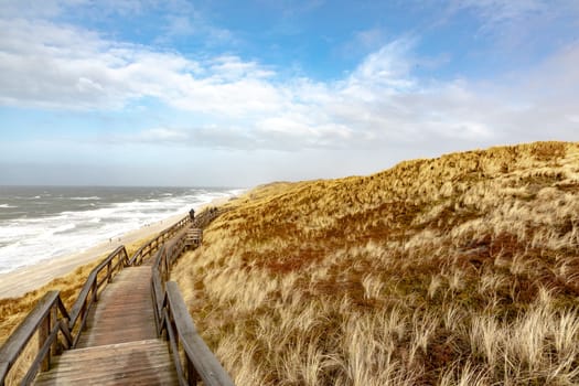 scenic landscape in Sylt with ocean, dune and empty beach in spring time