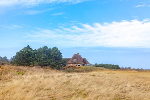 typical reed roofed house in Wenningstedt at the Island of Sylt, Germany