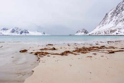 scenic view to icy ocean at the Lofoten islands in Norway