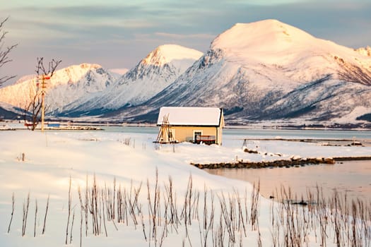 snow Landscape at the island of the Lofoten with a small house at the frozen sea, Norway