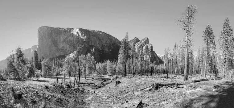 scenic view to Yosemite valley with el captan and half dome, USA