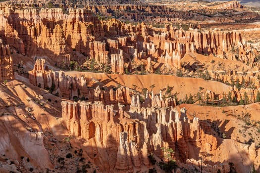 scenic view to the hoodoos in the Bryce Canyon national Park, Utah, USA