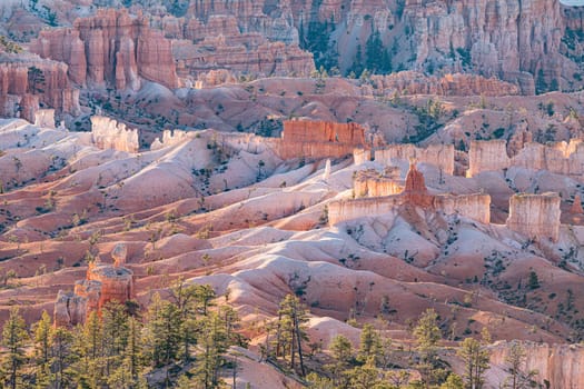 scenic view to the hoodoos in the Bryce Canyon national Park, Utah, USA