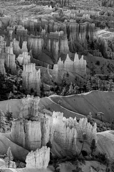 scenic view to the hoodoos in the Bryce Canyon national Park, Utah, USA