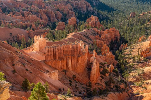 scenic view to the hoodoos in the Bryce Canyon national Park, Utah, USA