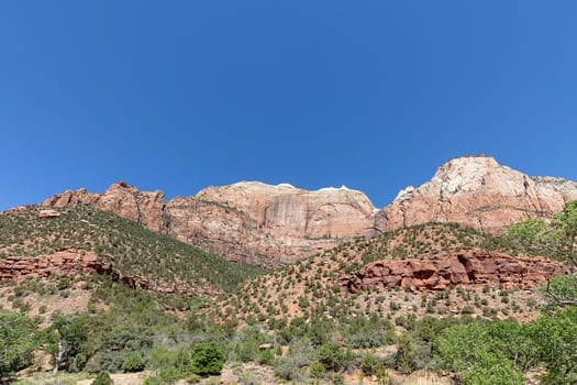 view to Mountains at Zion National park, USA