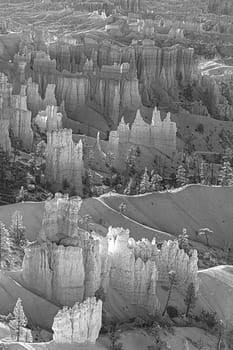 scenic view to the hoodoos in the Bryce Canyon national Park, Utah, USA