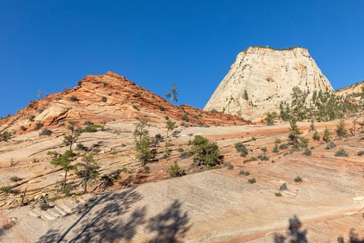 scenic mountain landscape in the zion national park, Utah, USA