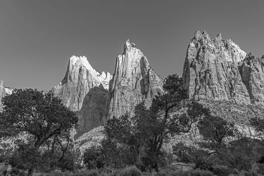 scenic mountains at Zion national Park seen from valley, USA