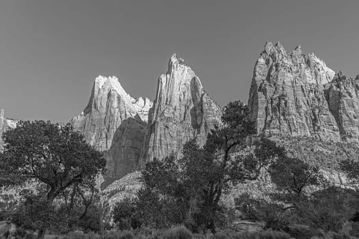 scenic mountains at Zion national Park seen from valley, USA