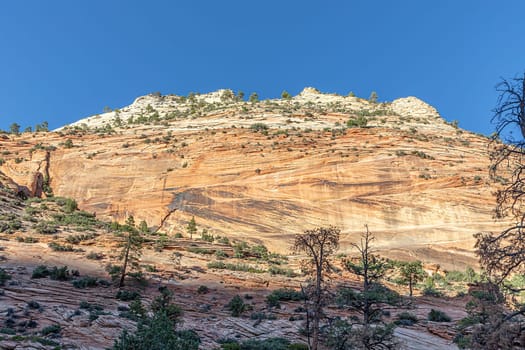 scenic mountain landscape in the zion national park, Utah, USA