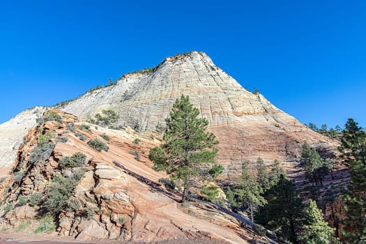 scenic mountain landscape in the zion national park, Utah, USA