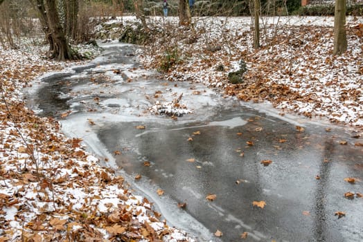 detail of leaves at the ice of the small creek flowing in the public garden of the Kurhaus, Wiesbaden in winter