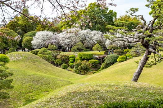 Suizenji Jojuen park in Kumamoto, Japan in memory of Hosokawa Tadatoshi, boss of samurai clan, Japan