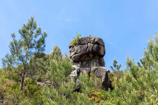 stone formation and blooming mountain flowers at  Nationalpark Peneda-Geres, Braga, Portugal