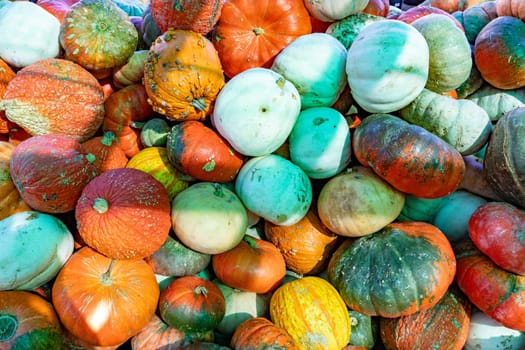 ripe colorful pumkins stabled at the farmers market in Dallas, USA