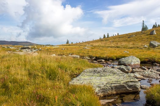 A clear mountain stream on the green meadows in the Austrian Alps, Steiermark, Austria