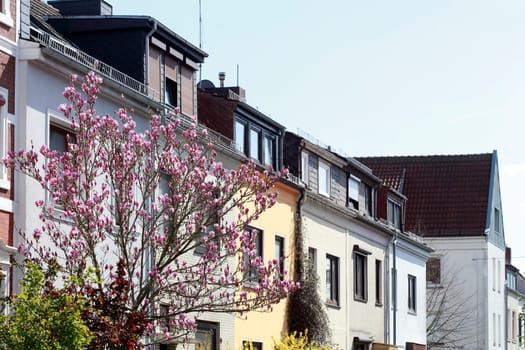 Residential buildings in spring, terraced houses, apartment buildings, Bremen, Germany