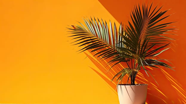a decorative flower on an orange yellow background in the room. Minimalistic background for branding and product presentation. with a plant against an orange wall