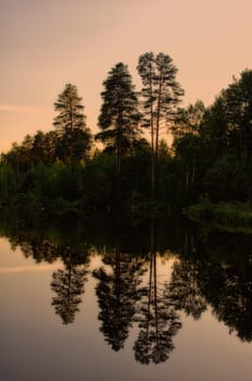 Natural landscape. The grass, the trees on the shore of a lake or river. Reservoirs in the wild.