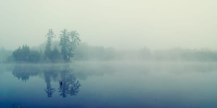 Natural landscape. The grass, the trees on the shore of a lake or river. Reservoirs in the wild.