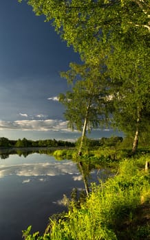 Natural landscape. The grass, the trees on the shore of a lake or river. Reservoirs in the wild.