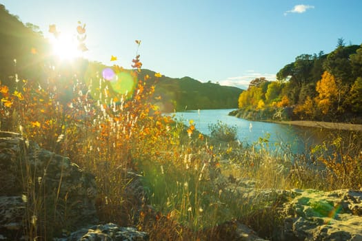 Autumn landscape with colorful fall foliage against the light. Creative photography taken near Gardon river, Gard, France
