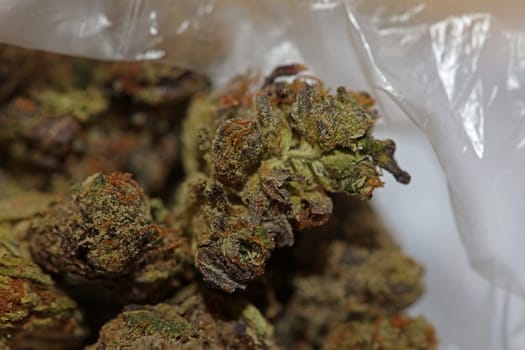 Cannabis buds macro super cali variety medical marihuana Covid19 quarantine stuff fifty megapixels modern botanical instant prints