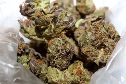 Cannabis buds macro super cali variety medical marihuana Covid19 quarantine stuff fifty megapixels modern botanical instant prints