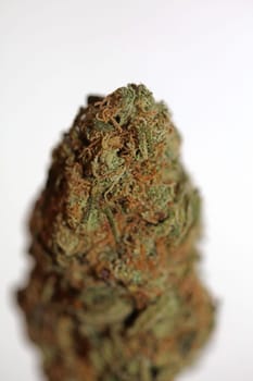 Cannabis bud strawberry haze close up background focus stack high quality prints high quality cannabis legalization in netherlands 2023 wann ist Kiffen legalization