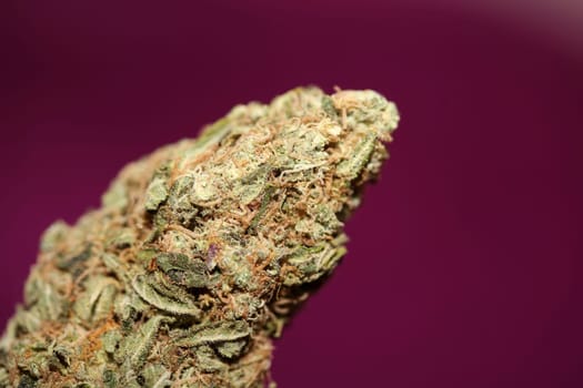 Cannabis bud strawberry haze close up background focus stack high quality prints high quality cannabis legalization in netherlands 2023 wann ist Kiffen legalization