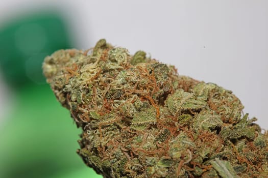 Cannabis bud strawberry haze close up background focus stack high quality prints high quality cannabis legalization in netherlands 2023 wann ist Kiffen legalization