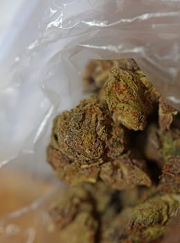 Cannabis buds macro super cali variety medical marihuana Covid19 quarantine stuff fifty megapixels modern botanical instant prints