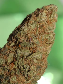 Cannabis bud strawberry haze close up background focus stack high quality prints high quality cannabis legalization in netherlands 2023 wann ist Kiffen legalization