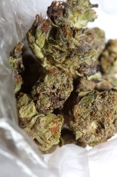 Cannabis buds macro super cali variety medical marihuana Covid19 quarantine stuff fifty megapixels modern botanical instant prints