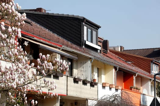Residential building in spring with magnolia blossom, terraced houses, apartment buildings, Bremen, Germany