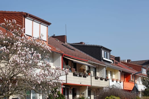 Residential building in spring with magnolia blossom, terraced houses, apartment buildings, Bremen, Germany