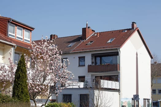 Residential building in spring with magnolia blossom, terraced houses, apartment buildings, Bremen, Germany