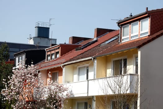 Residential building in spring with magnolia blossom, terraced houses, apartment buildings, Bremen, Germany