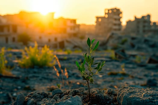 A young tree growing up in a ground with destroyed city , sunrays shine upon it.Peace concept. AI generated