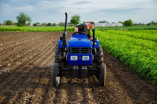 Kherson oblast, Ukraine - May 29, 2021: Farmer on a tractor works in the field. Seasonal worker. Milling soil before cutting rows. Recruiting workers with driving skills on agricultural machinery.