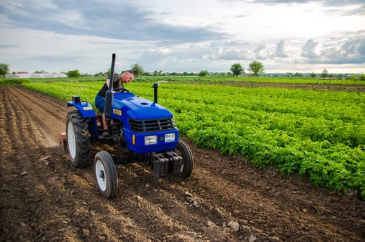 Kherson oblast, Ukraine - May 29, 2021: Senior farmer works in the field on a tractor. Seasonal worker. Milling soil before cutting rows. Recruiting workers with driving skills