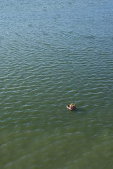 Float tube fisher floating over green waters of a reservoir. Selective focus