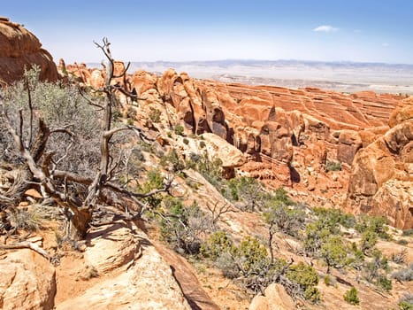 Nature National Park, Utah. The landscape and rocks. Roads and propinki Park, Utah.