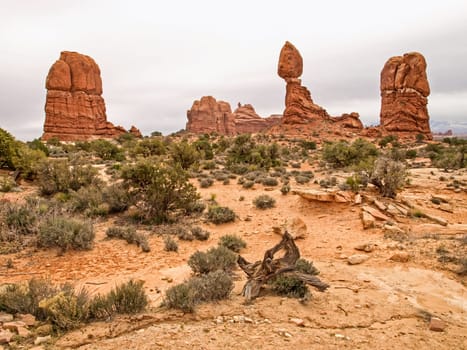 Nature National Park, Utah. The landscape and rocks. Roads and propinki Park, Utah.