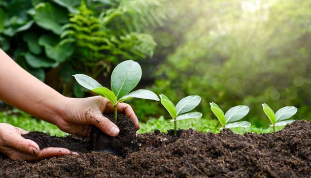 Human hand planting young plants in soil on blurred nature background. AI generated