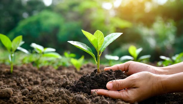Human hand planting young plants in soil on blurred nature background. AI generated