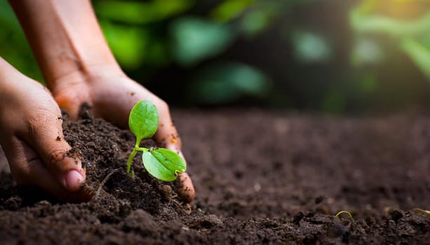 Human hand planting young plants in soil on blurred nature background. AI generated