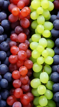 A detailed, close-up view of a bunch of grapes featuring vibrant colors and a lush texture.